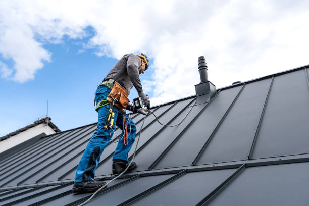 Best Roof Ventilation Installation  in Citrus, CA